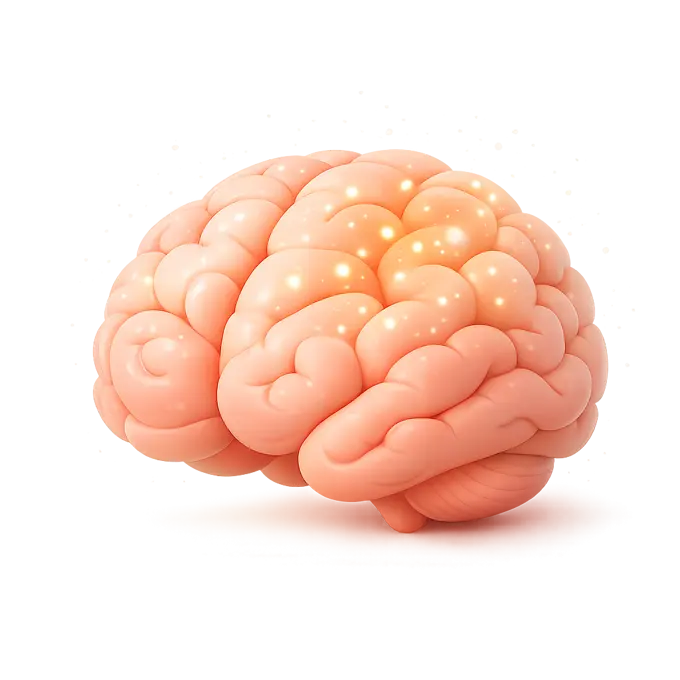 Nicotine receptors in the brain
